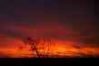 Fire Sunrise 123003.jpg (206881 bytes)